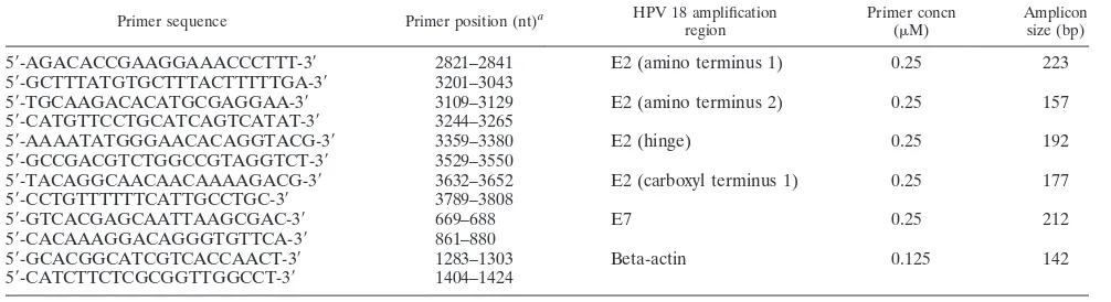 TABLE 1. Primer sets for real-time PCRs