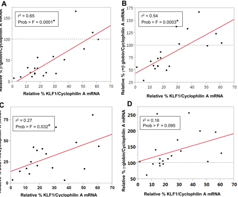 Fig 4. KLF1 regulates β-globin, total globin and BCL11A expression in UCB erythroblasts