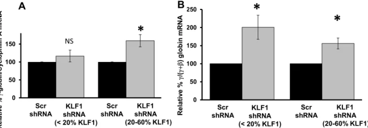 Fig 5. γ-globin mRNA amounts with modest and robust KLF1 knockdown. UCB samples were divided into two groups based on the amount of residual KLF1 mRNA after knockdown (see supplementary Fig 2B)