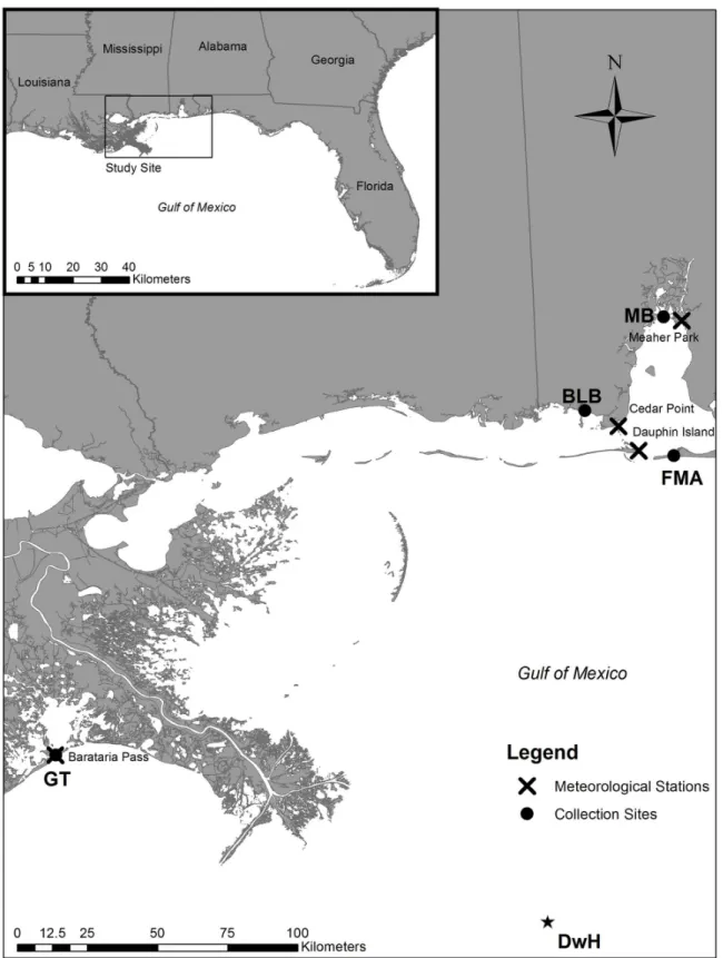 Fig 1. Map of study sites in the northern Gulf of Mexico. General (inset) and specific location of Gulf killifish (Fundulus grandis) collection sites in Grande Terre [GT], LA; Bayou La Batre, AL [BLB]; Mobile Bay, AL [MB]; and Fort Morgan, AL [FMA], throug