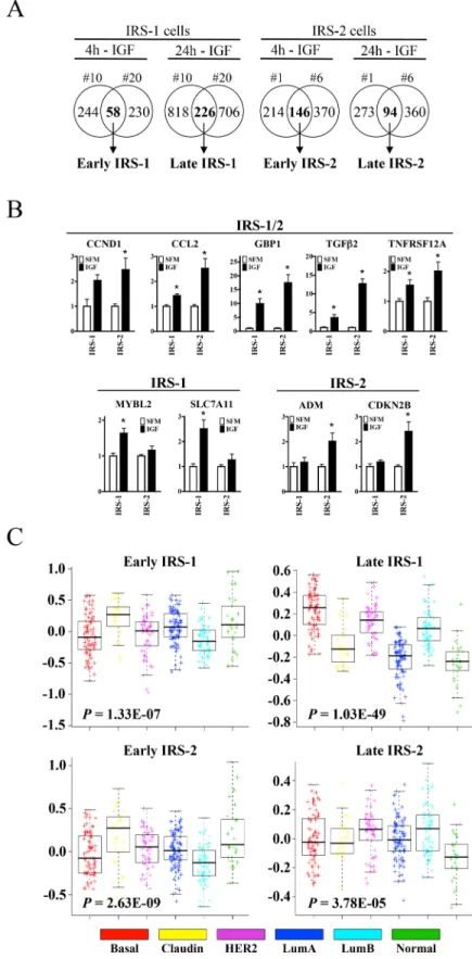 Fig 2. IRS isoforms mediate distinct gene expression profiles, functional pathways, and breast cancer subtype association