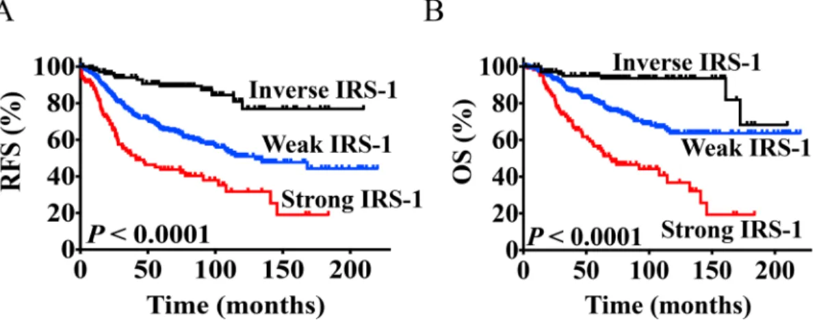 Fig 4. Late IRS-1 gene expression is a marker of poor prognosis. Univariate Kaplan-Meier analysis of A) RFS and B) OS was assessed in the combined UNC3337 and NKI295 cohorts (n = 534)