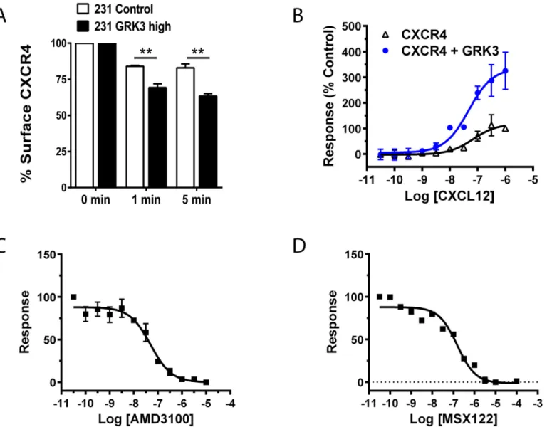 Fig 4. GRK3 regulates CXCL12-specific CXCR4 internalization and β-arrestin recruitment