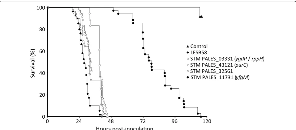 Fig. 2 The STM PALES_11731 mutant has a very low virulence in the drosophila infection model