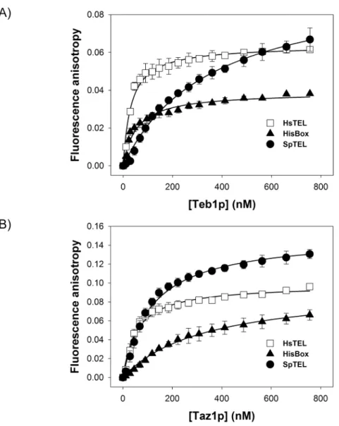 Fig 4. Fluorescence anisotropy analysis of the DNA binding properties of Teb1p and Taz1p.