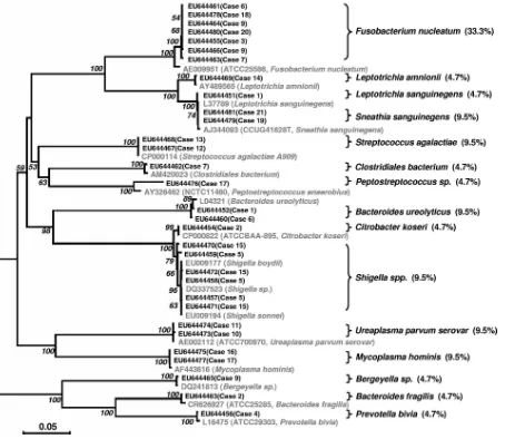 FIG. 3. Phylogenic analysis of total 16S rRNA gene sequences ampliﬁed from AF samples