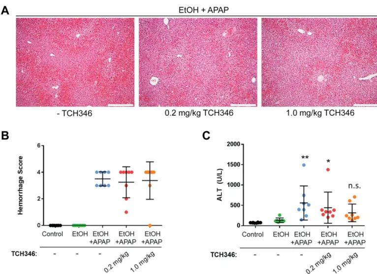 Fig 3. The GAPDH-targeting compound TCH346 partially attenuates combined ethanol and acetaminophen liver injury