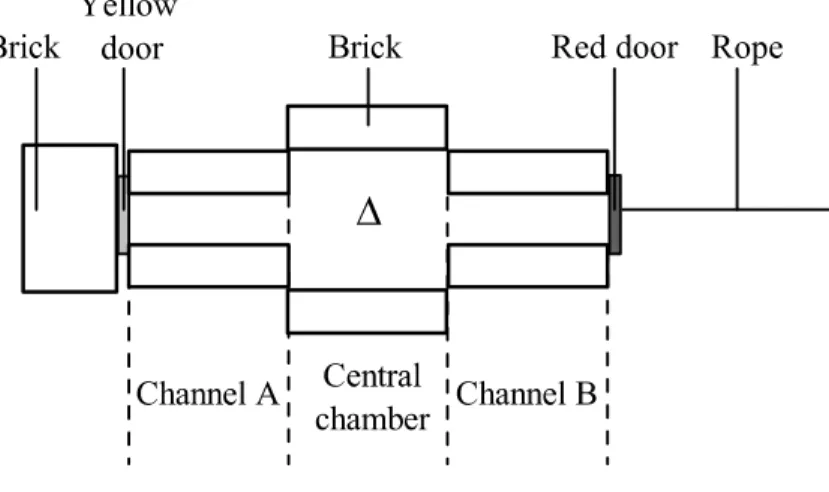 Figure 2.1. Schematic drawing of the two-arm maze (not to scale). The triangle indicates the release point  of frogs; initial orientations were opposite between two trials in the same day