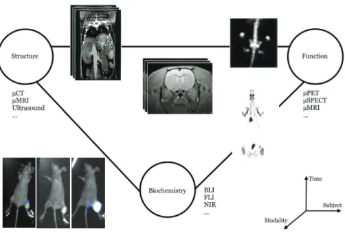 Figure 1.1 Organizing, analyzing and interpreting heterogeneous imaging data has become a  demanding task for the following reasons: (i) the high-throughput nature of the data (longitudinal and  developmental studies); (ii) the heterogeneous image structur