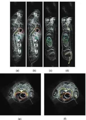 Figure 2.8 Organ and bone approximation results for µMRI mouse data: a, c, e—manual organ  segmentation