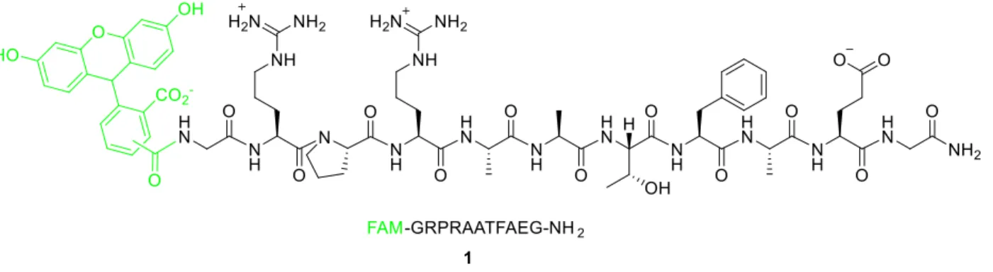 Figure 5. Control peptide 1. The substrate is in black, and the fluorophore is shown in green.