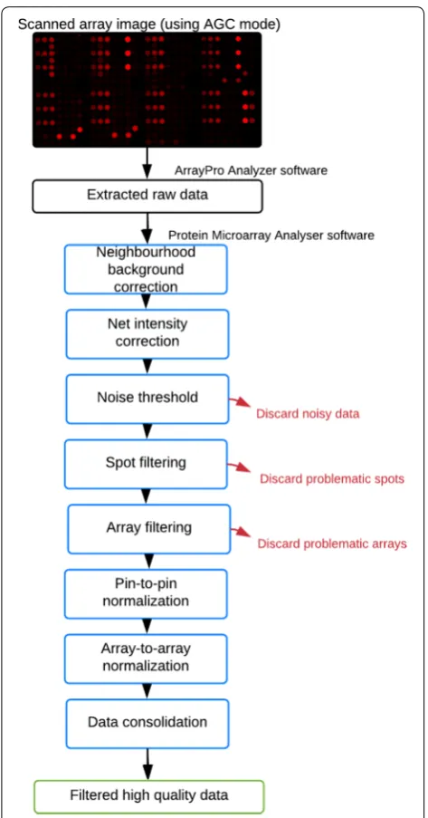 Fig. 1 Schematic of the Protein Microarray Analyser data processing filtered to remove or flag problematic data and obtain high quality and normalization pipeline