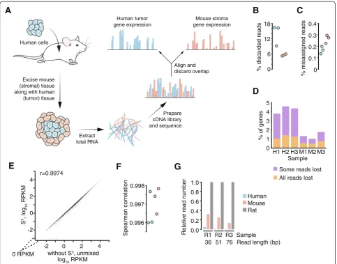 Fig. 1 Species-specific sequencingS—separation of mouse and human transcriptomes in silico