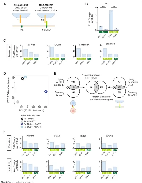 Fig. 3 (See legend on next page.)