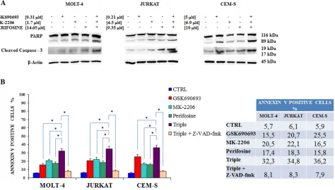Figure 7: Multiple anti Akt drug treatment affects also MEK/ERK pathway. Western blot analysis for Tyr 202/204 p-ERK 1/2 phosphorylation status in MOLT-4, JURKAT and CEM-S cells, after 24 h of treatment with the three drugs alone and in combination