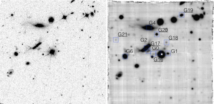Figure 1. HST/WFPC2 F814W image of the quasar field (left panel) and MUSE white light image (right panel) showing objects with bright continua