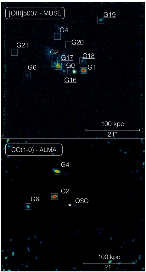 Figure 2. Galaxies at z abs =0.313 in the Field of Q1130−1449. Top panel: Continuum-subtracted MUSE pseudo narrow-band filter around [O iii] λ5007 at the redshift of the absorber