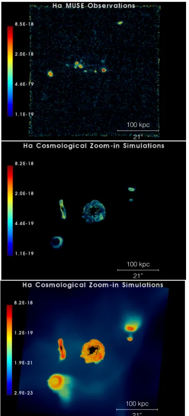 Figure 4. The environment of z abs ∼0.3 galaxies. Top panel: MUSE observations of Hα emission surface brightness (in erg s −1 cm −2 arcsec −2 ) at z=0.313 in the field of Q1130−1449