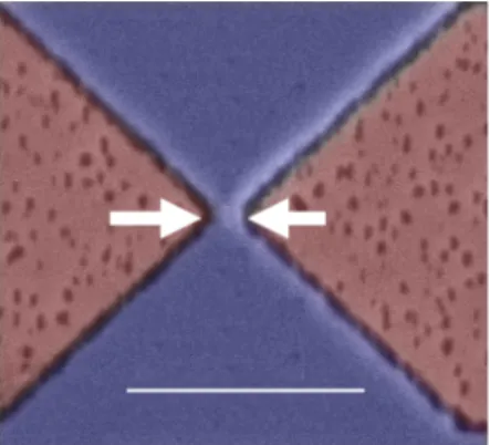 Figure 2.1: False color SEM image of a similar detector to the one used. The blue part represent the NbN layer and the red part the GaAs substrate