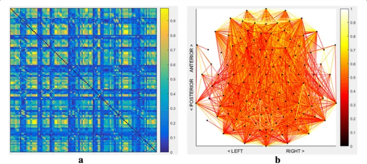 Fig. 1 Convention types of EEG coherence network visualization techniques. a Matrix Representation