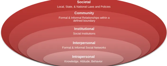 Figure 1.1: The Socioecological Framework 