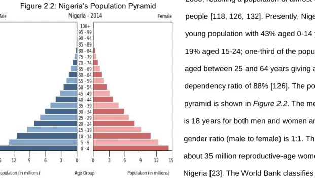 Figure 2.2: Nigeria’s Population Pyramid 