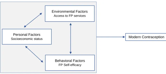 Figure 3.1: The Social Cognitive Theory 