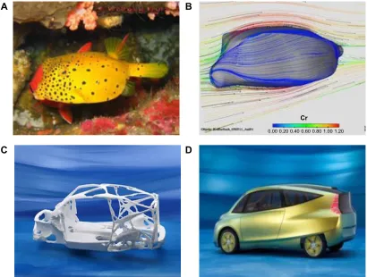 Figure 3 DaimlerChrysler’s prototype bionic car (D), inspired by the box fish (A), skeleton structure of blowfish adapted for designing of vehicles (C), and tree growth patterns (B).Note: Republished with permission of Springer Science and Business Media, 
