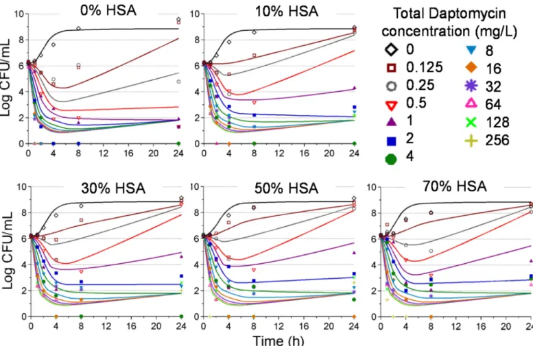Fig 4. Time kill data (symbols) and model fitted predictions (solid lines) for each condition of human serum exposure for daptomycin against USA300