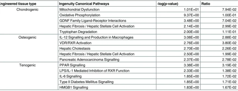Table 6. The top canonical pathways. Pathways from the IPA knowledge base that involve DE (adjusted P <0.05 and 1.4 log 2 fold change) protein coding genes differentially expressed in tissues derived from young compared to old MSCs; chondrogenic, tenoge