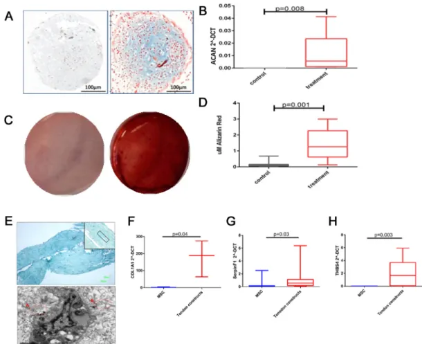 Fig 1. Histochemical and gene expression analysis of chondrogenic, osteogenic and tenogenic lineage differentiation for MSCs