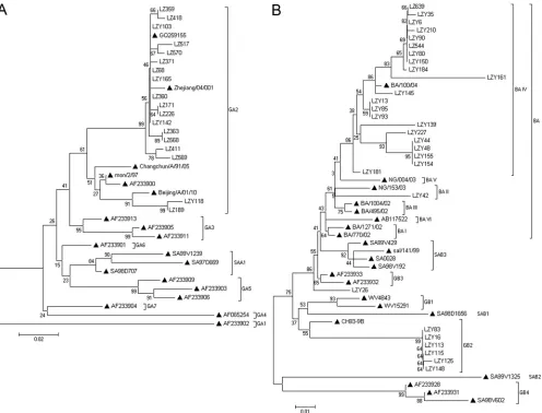 FIG. 1. Phylogenetic tree for Chinese HRSV group A and group B nucleotide sequences, based on the second variable region of G protein (270bp)