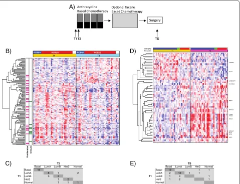 Fig. 1 Serial gene expression analysis in locally advanced breast cancer patients undergoing neoadjuvant chemotherapy (NAC).of supervised clustering analysis of expression profiles of known nonresponding tumors at T1 and TS