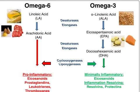 Figure 1 Dietary sources and general metabolic pathway for omega-6 and omega-3 polyunsaturated fatty acids, leading to proinflammatory andanti-inflammatory products respectively.