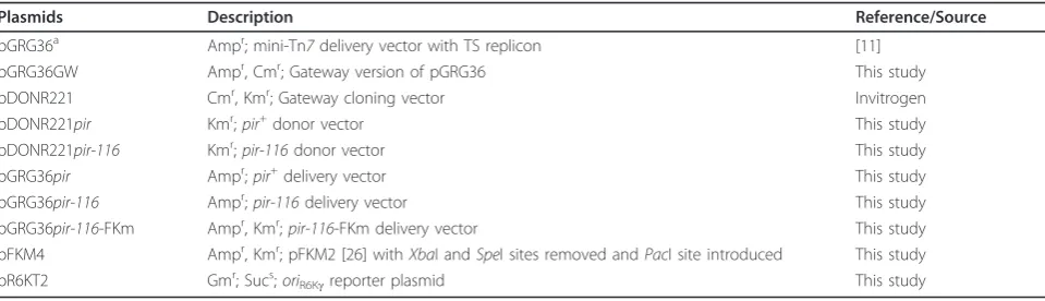 Table 2 Plasmids used in this study