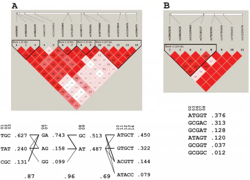 Fig 1. SNP density in the ST3GAL4 gene. SNPs were plotted based the 1000 genomes data