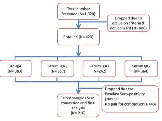 Fig 1. Study Participants Flow chart.