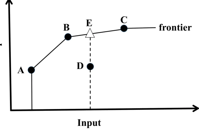 Fig 1. Diagram of best-practice frontier defined assuming variable returns to scale (modified from FAO 2003 [6]).
