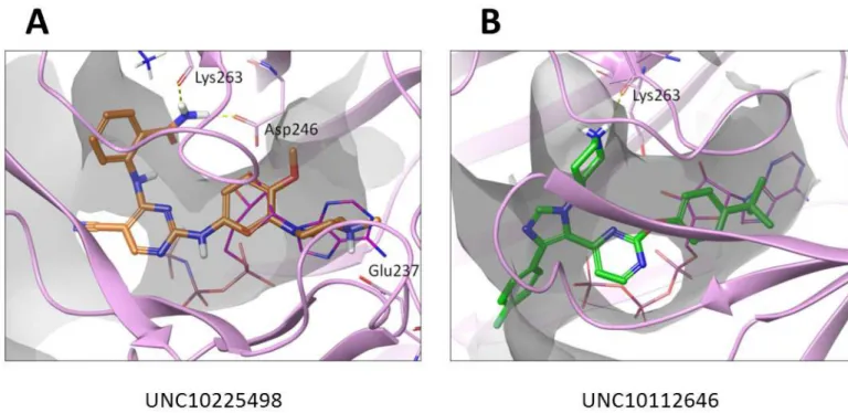 Fig 7. The docking poses of UNC10225498 and UNC10112646 with PPIP5K. (A) UNC10225498 (thick sticks; orange carbons) (B)