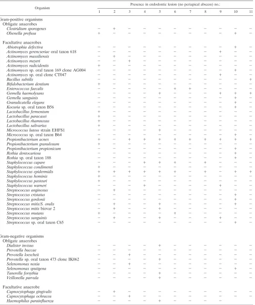 TABLE 1. Distribution of all 51 bacterial taxa identiﬁed among 638 isolates recovered from 11 refractory endodontic lesions withoutperiapical abscesses