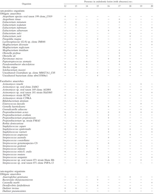 TABLE 2. Distribution of all 77 bacterial taxa identiﬁed among 1,004 isolates recovered from 9 refractory endodonticlesions with periapical abscesses