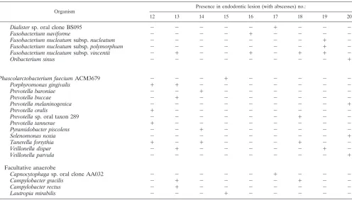 TABLE 3. Comparison of distribution of P. acnes recA phylotypes from all endodontic lesions and from the 13 paired endodontic sampleswith the distribution of P