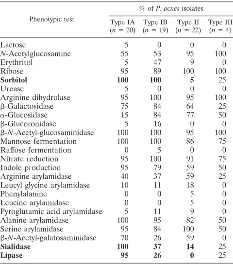 FIG. 2. Neighbor-joining trees comparing the taxonomic relationships of representatives of P