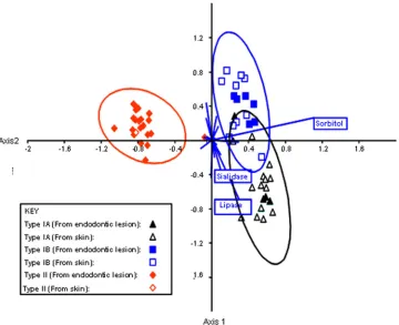 FIG. 4. Phenotypic differences between P. acnesalong the ﬁrst two canonical axes, showing maximal separation between the three groups