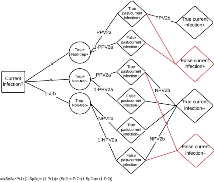 Fig 2. Decision model of diagnosis of current infection under the combined testing strategy