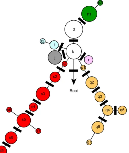 Fig 1. Simplified SNP phylogeny of Y. pestis depicting subgroups identified in Madagascar