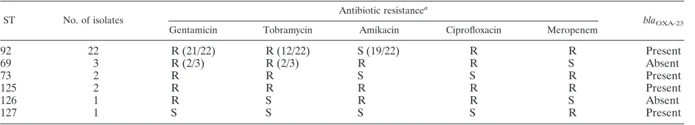 TABLE 1. STs and allele numbers of Acinetobacter baumannii isolates, by year isolated