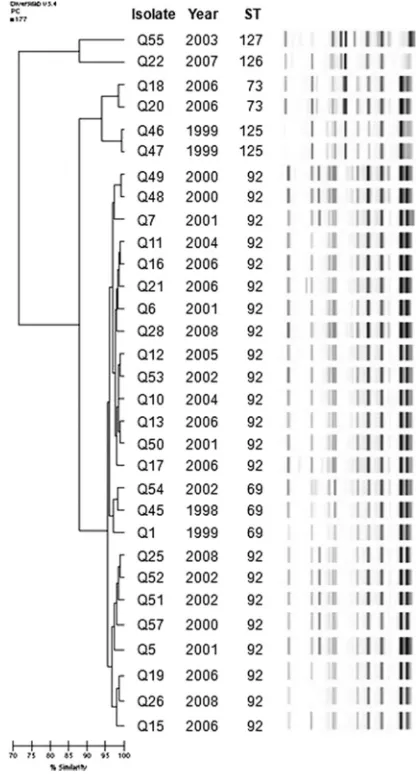 FIG. 2. Dendrogram of A. baumanniiPearson correlation method. Isolate number, year of isolation, and ST rep-PCR patterns by theare also shown.