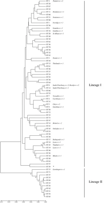 FIG. 1. Genetic relationships between the 73 sequence types identiﬁed and their relationship to ribotyping results