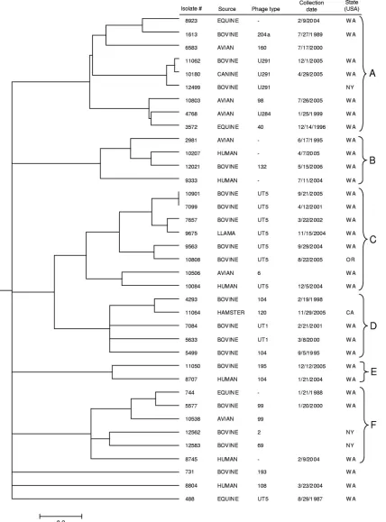 FIG. 1. Generalized tree for 37 S. entericaincludedcollection date (month/day/year), and state where the isolate was collected
